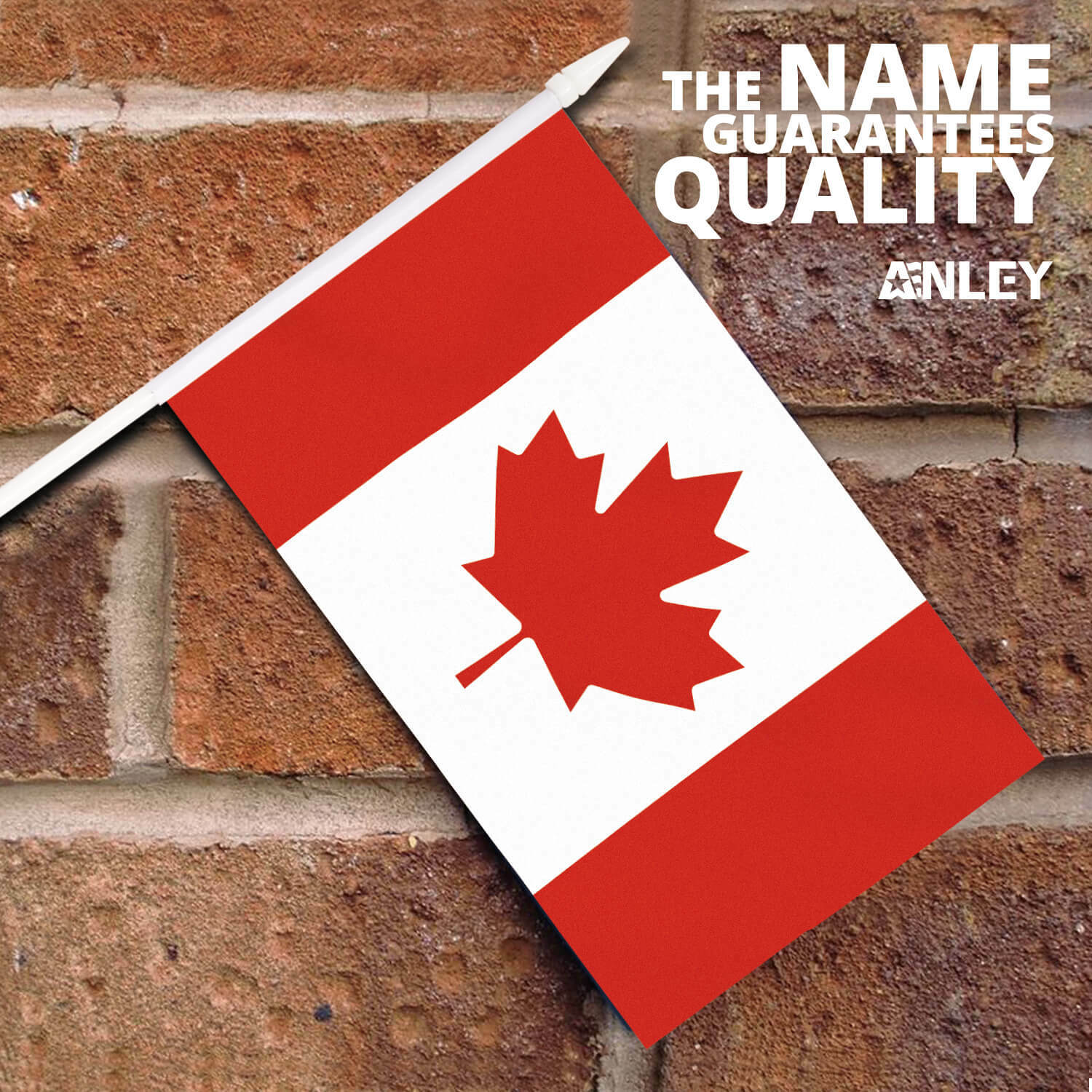 Anley Canada Mini Flag 12 Pack Hand Held Small Miniature Canadian Flags on Stick