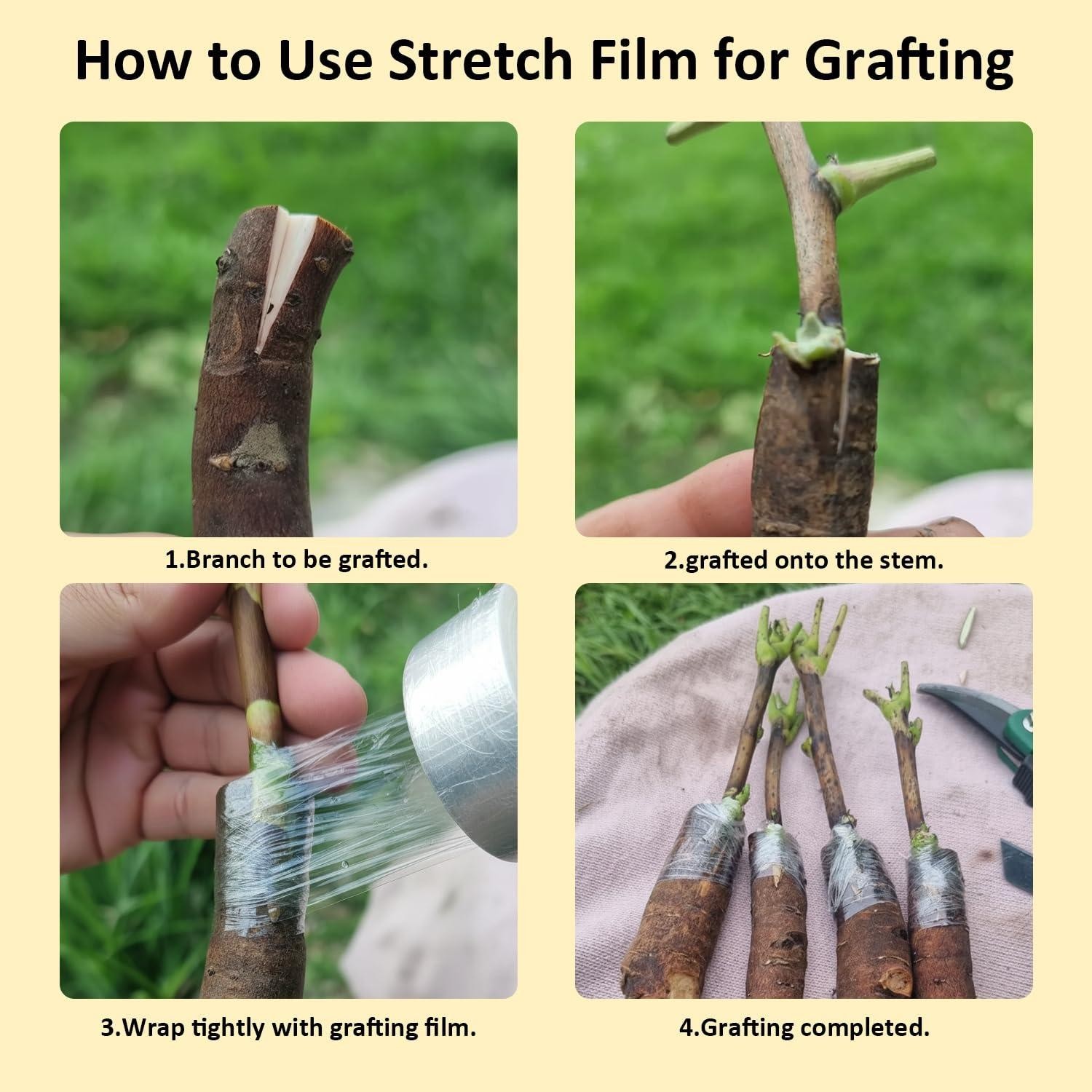 3 Pack Grafting Tape – Stretchable Self Adhesive Plant Film Clear Nursery Repair