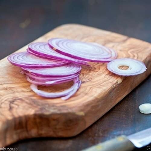200 RED BURGUNDY ONION SEEDS ~ heirloomseedguy ~ 2026 ~ NON-GMO