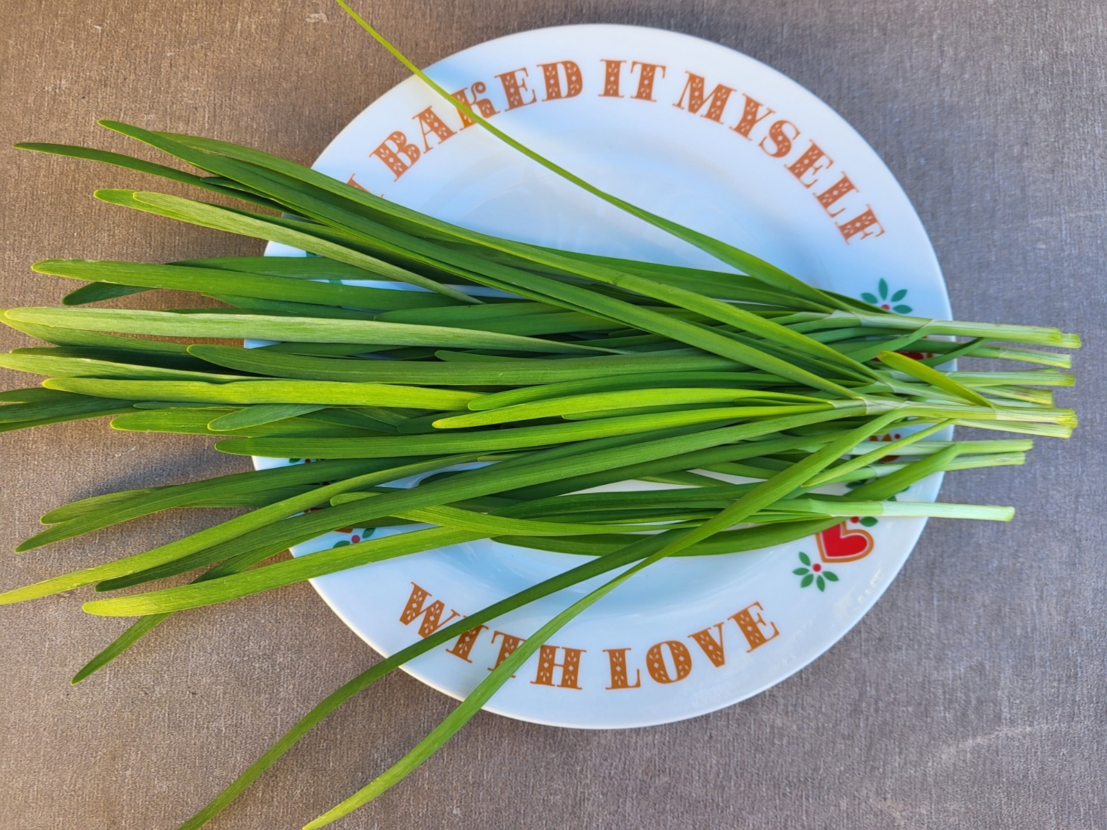 50 Garlic chive seeds, NON-GMO chive seeds, Chinese chive seeds 中国韭菜种子