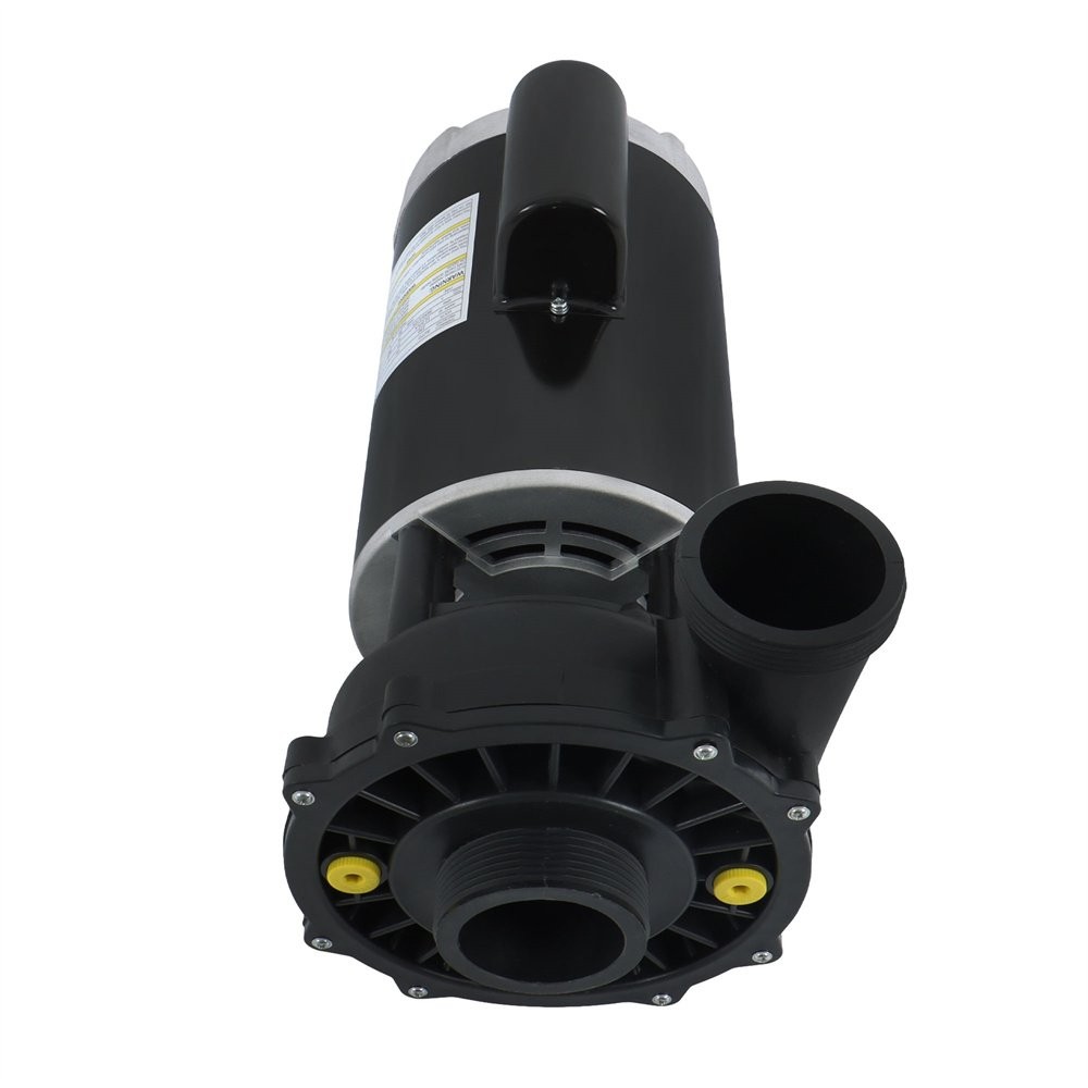 Executive 56-Frame 4HP Dual-Speed Spa Pump, 2in Intake, 2in Discharge