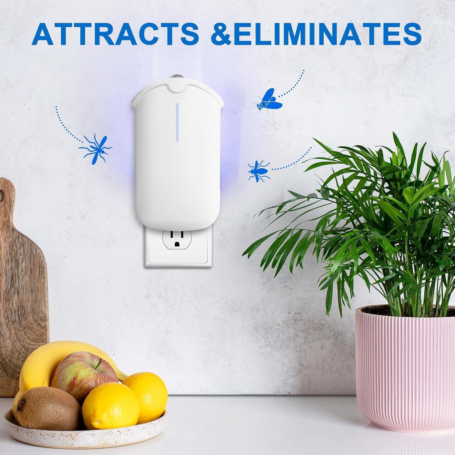 House Fly Trap – 2 Devices & Cartridges