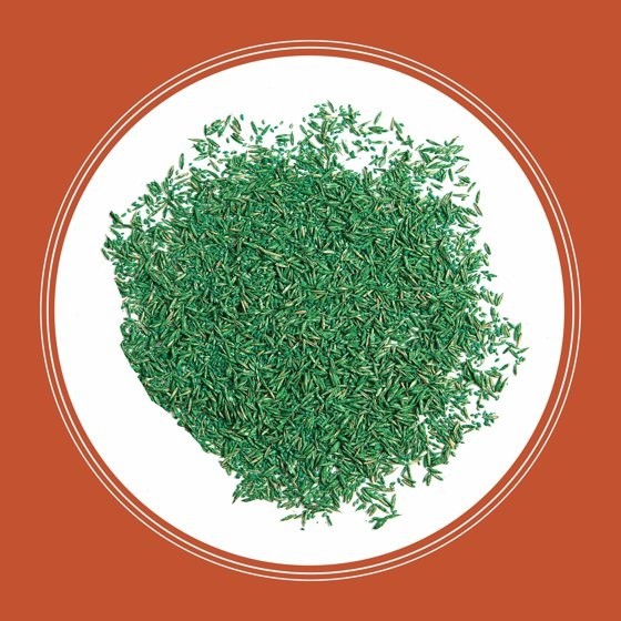 Pennington Smart Seed Texas Bermudagrass Grass Seed Mix, for Full Sun, 1.75 lb.