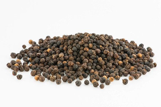 Black Beauty Peppercorn {Piper nigrum}| Organic Heirloom 10 Seeds Free Shipping!