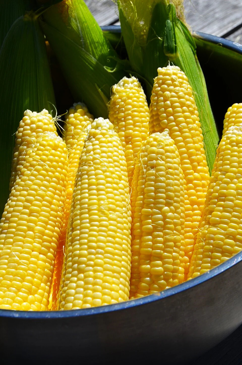 Honey Select Triple Sweet Corn Seeds | AAS Winner Untreated Yellow SY Seed 2024