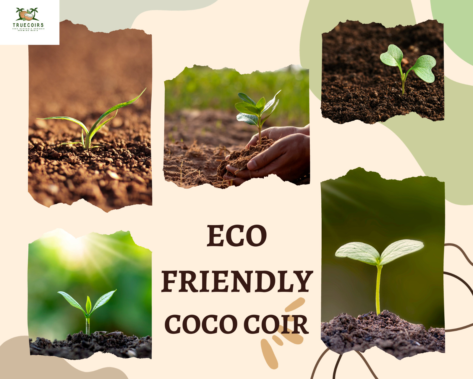10LB/1.4LB CocoCoir Brick Coconut Fiber Potting Soil Plant Organic Growing Media