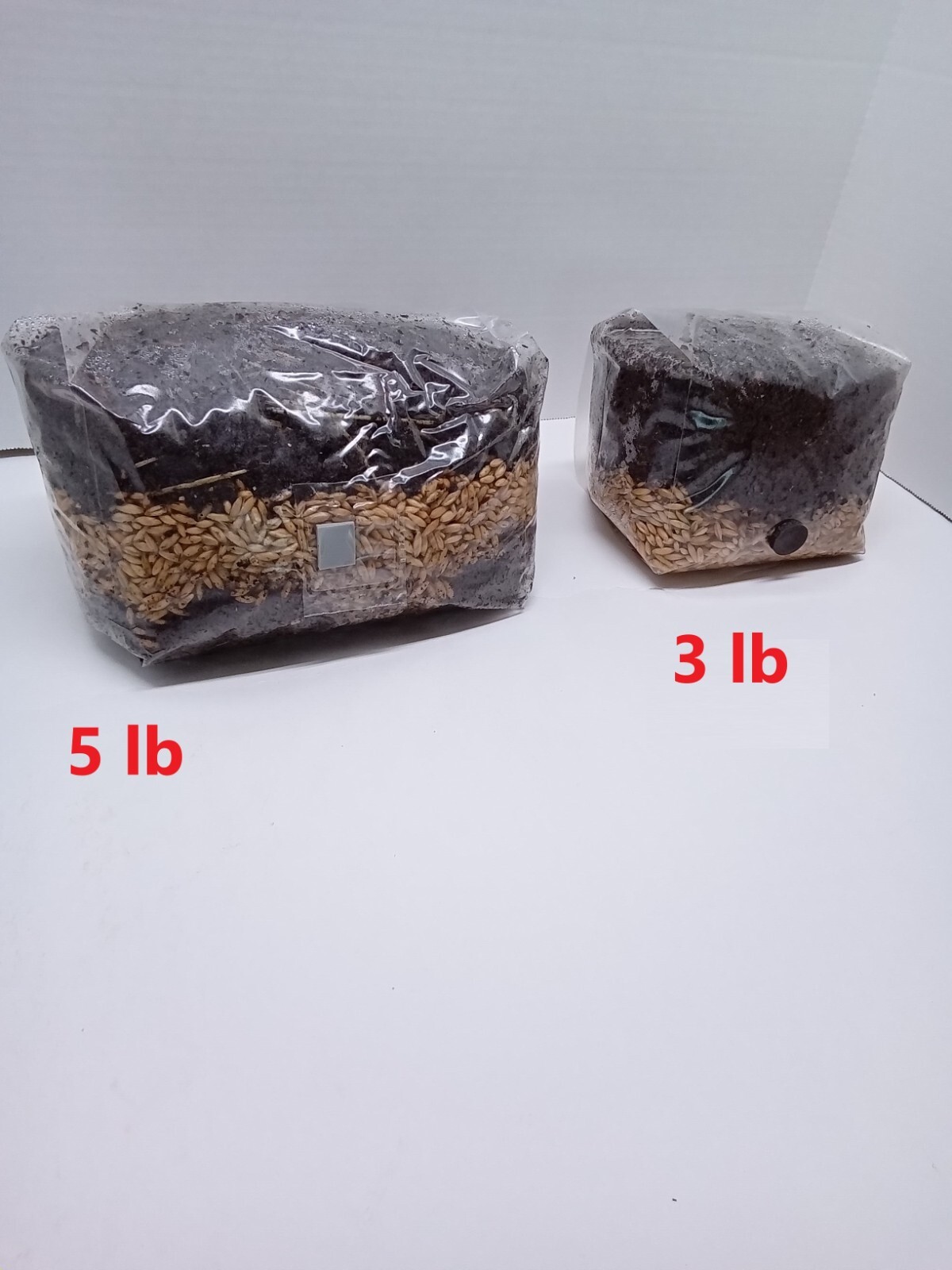 Mushroom Grow Bag 5 lb DUNG BASE sterile All in One GROWING KIT FAST SHIP [B]
