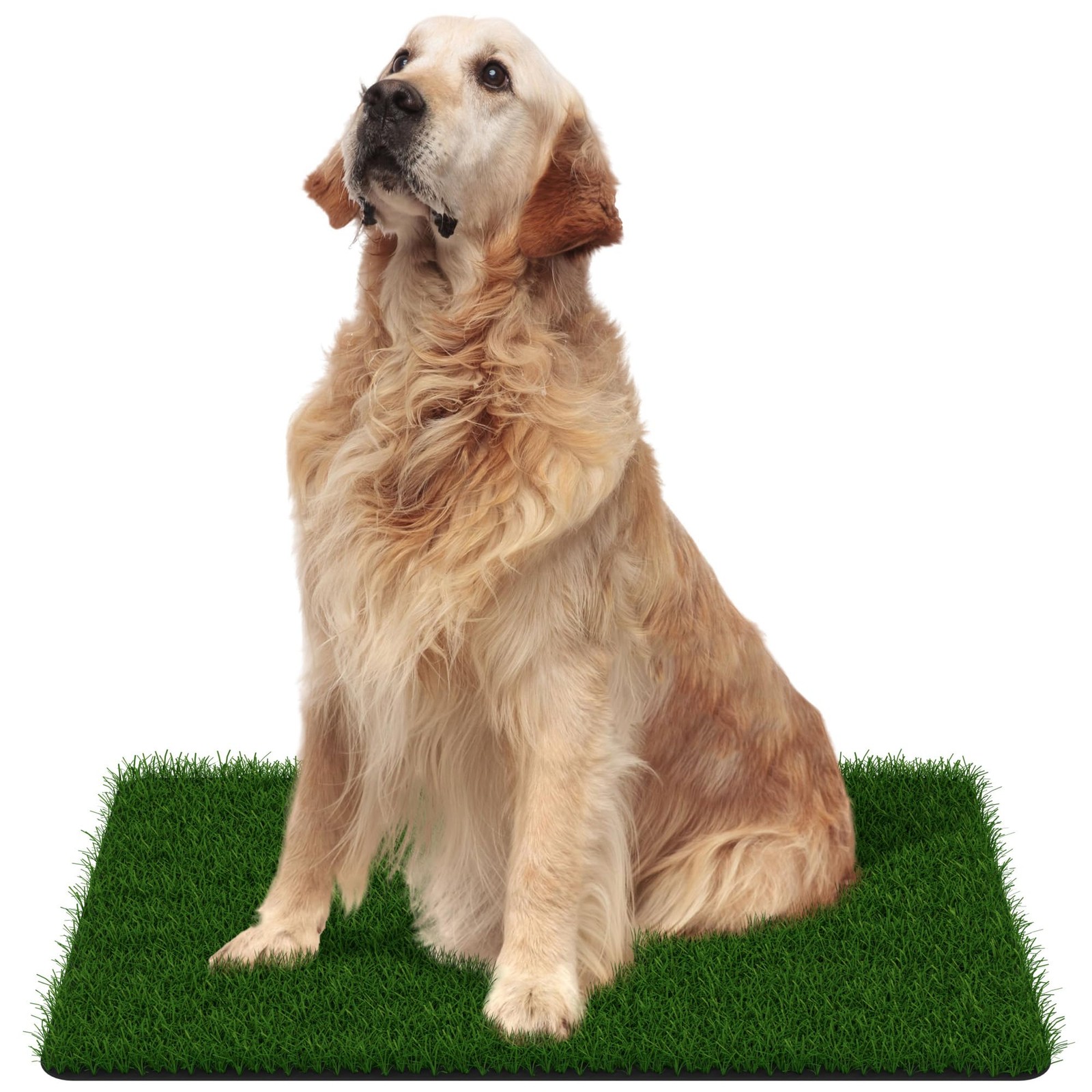 Artificial Grass Door Mat – for Entryway Indoor/Outdoor Green Turf Rug, Perfe…