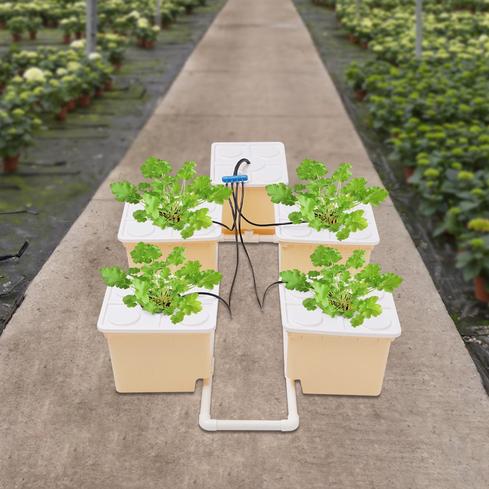 Hydroponics Deep Water Culture DWC Hydroponic System buckets Drip Growing System