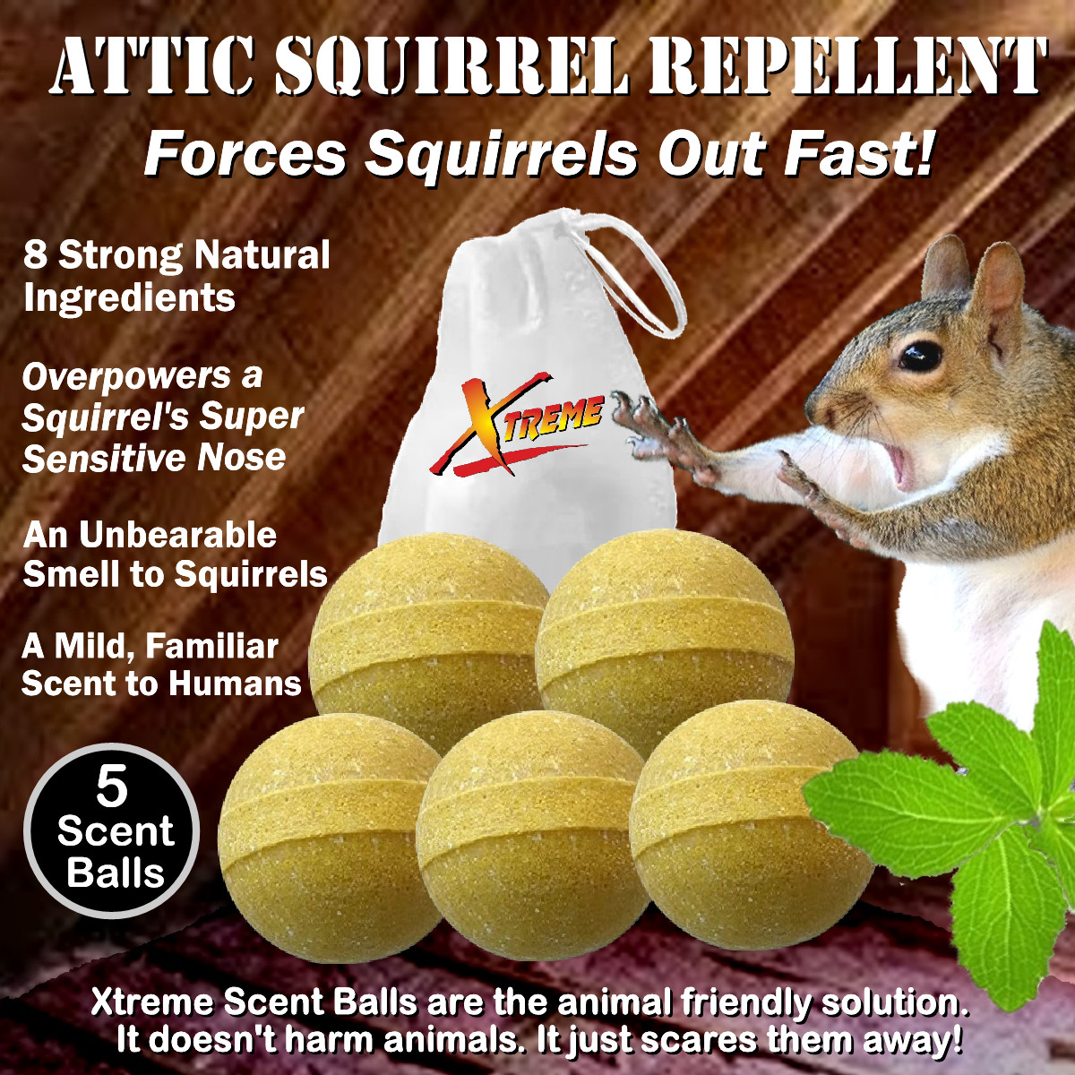 Xtreme Attic Squirrel Repellent. Drives Squirrels Out Fast! – 5 Pack