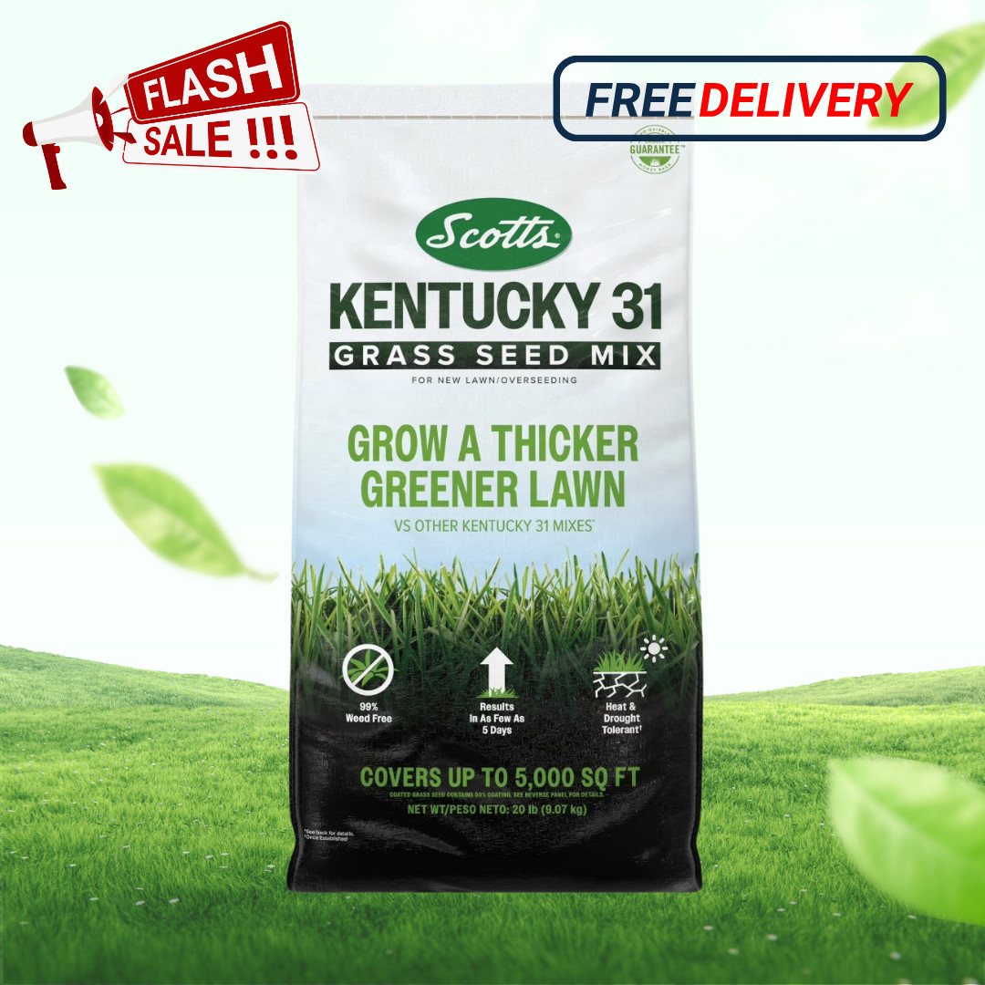[HOT SALE] Scotts Kentucky 31 Grass Seed Mix 20 lb Lawn Seed Overseeding