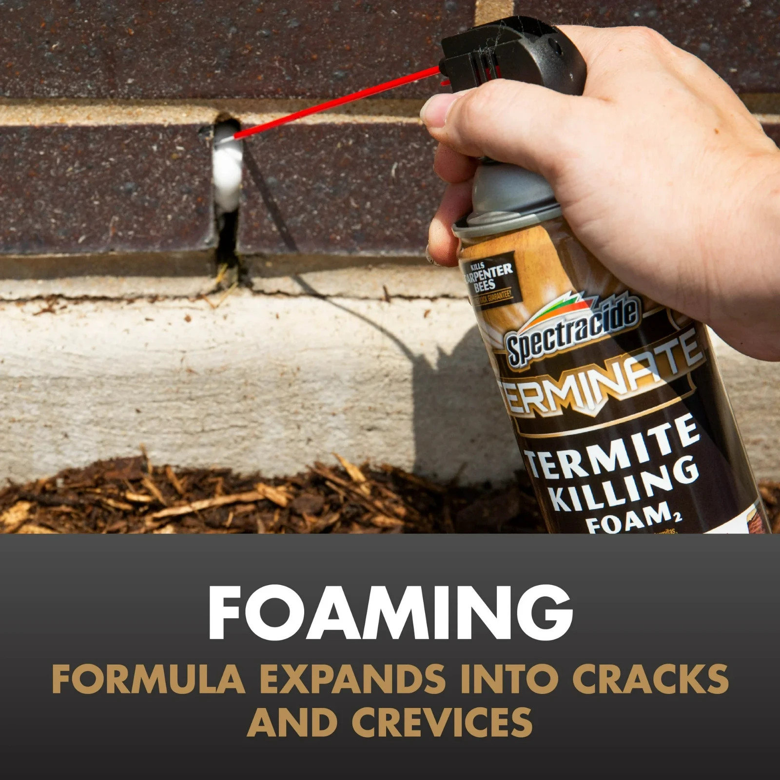 Spectracide Terminate Termite Killing Foam, Kills Termites Indoors & Outside