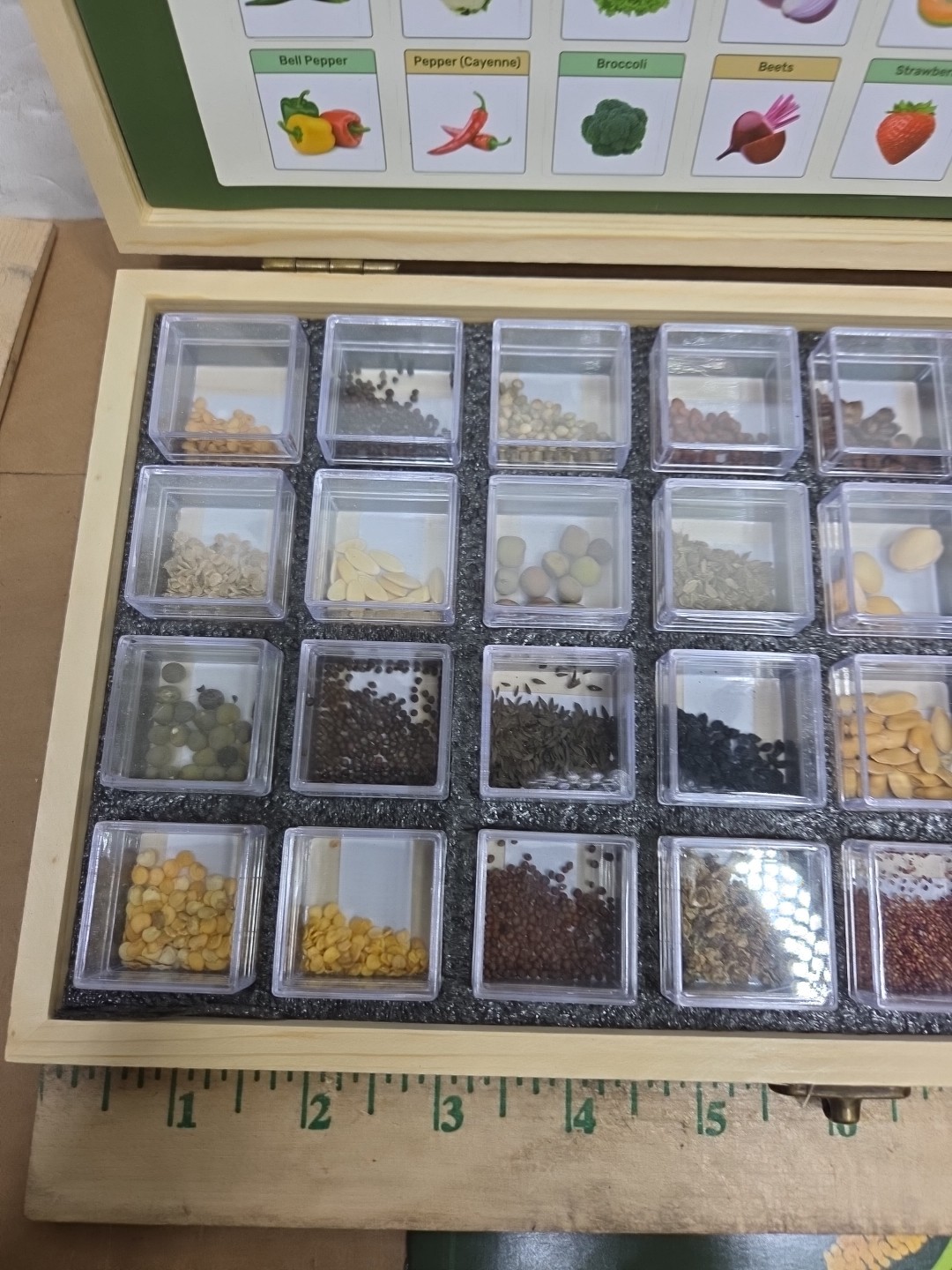 Lush & Dew Year-round USDA Zone 6 Seed Bank 32 Varieties