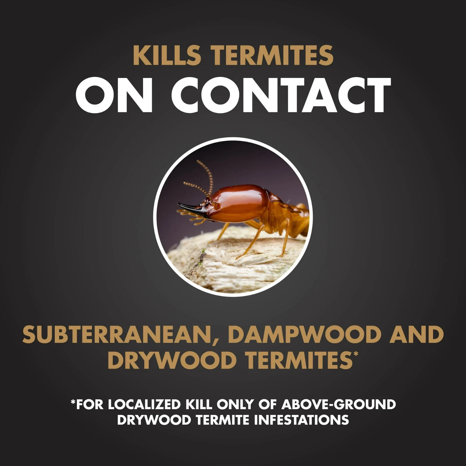 Spectracide Terminate Termite Killing Foam, Kills Termites Indoors & Outside