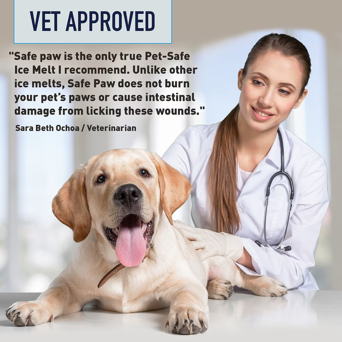 Safe Paw Dog/Child/Plant Safe 2 PACK Ice Melt With Traction Agent 8lb Non-Toxic