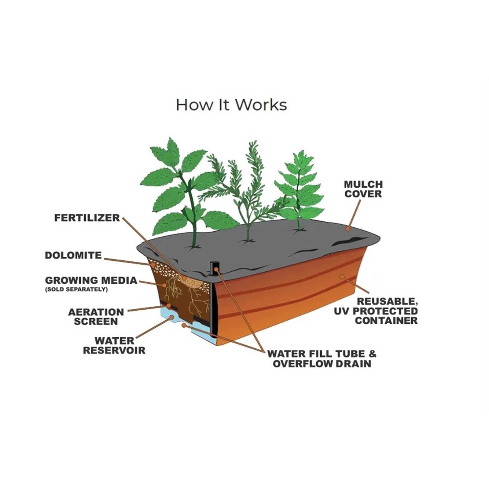 Novelty (#80651) EarthBox Junior Garden Kit, Natural, Green