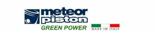 Meteor Piston Kit for Wacker WM80 Rammer 45mm Made in Italy WM-80 0045908