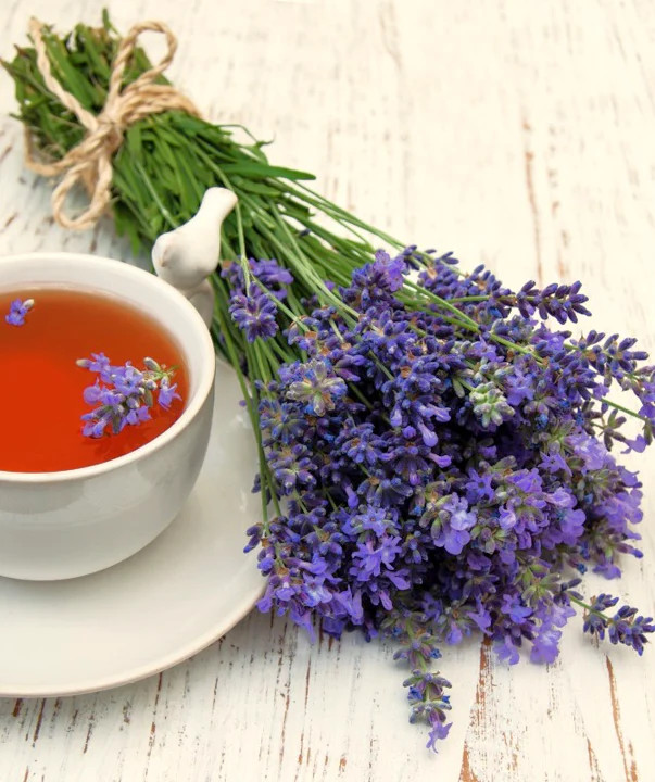 Blue Hyssop Seeds | Hyssopus Officinalis Flower Therapy Medicinal Herb Seed 2024