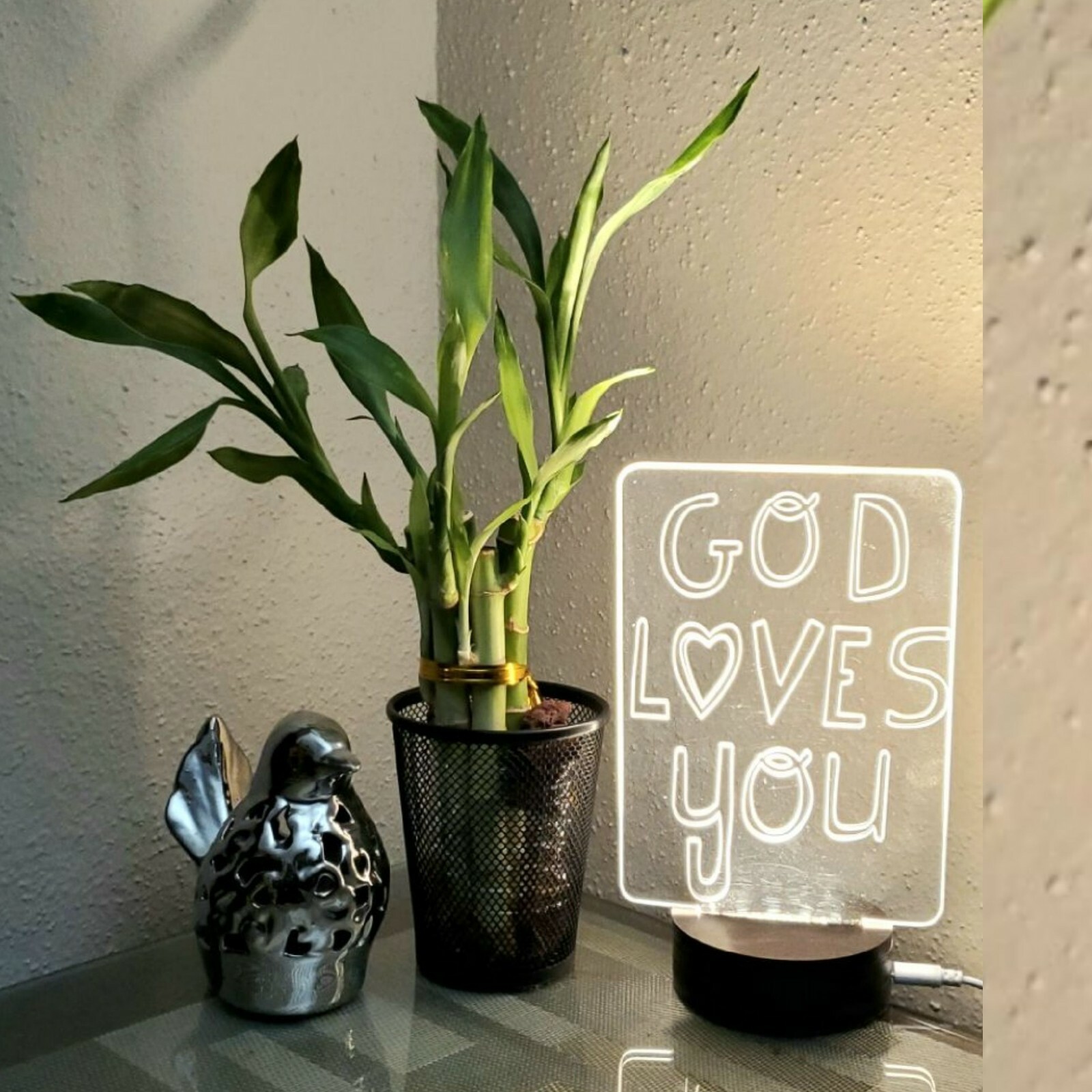 7 Lucky Bamboo Plant 4″ Stalks, Feng Shui, GIFT, LIVE PLANT, Wedding Favors