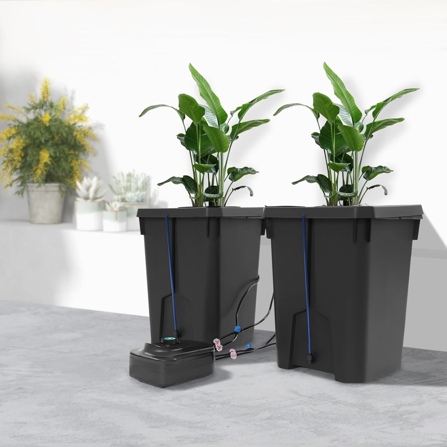 2-Bucket Hydroponics Growing System, 7.13Gal DWC Deep Water Culture with Top Dri