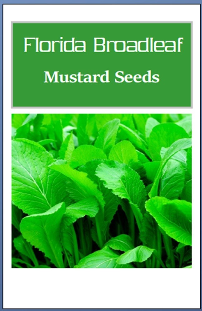 Florida Broadleaf Mustard Seeds | NON-GMO | Heirloom | Fresh Garden Seeds