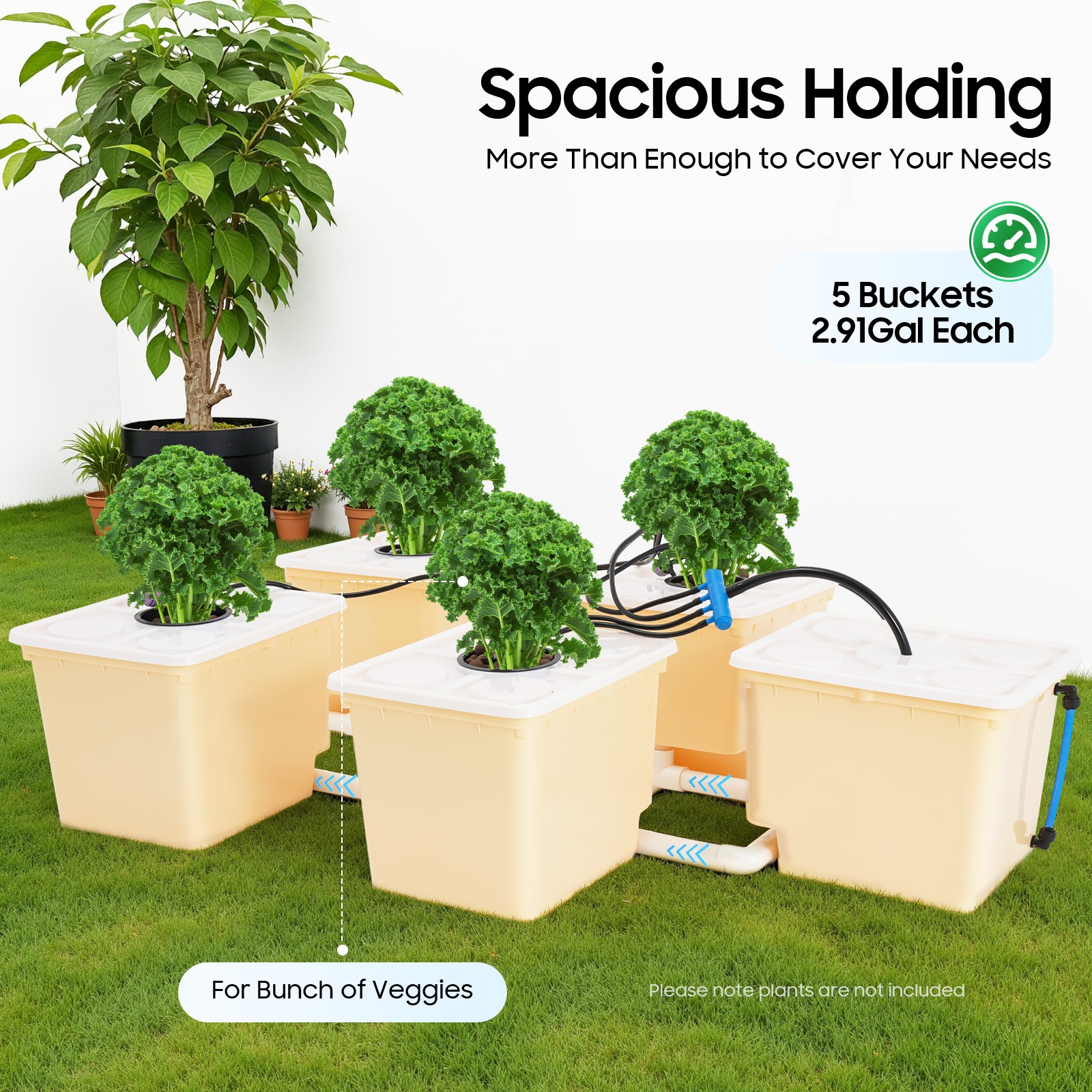 Hydroponics Deep Water Culture DWC Hydroponic System buckets Drip Growing System