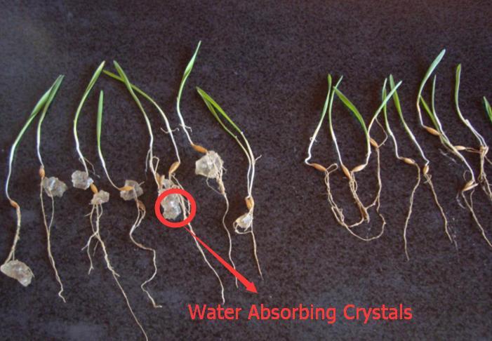Water Absorbing Polymer Crystals – Soil Moist – Cricket Water Gel