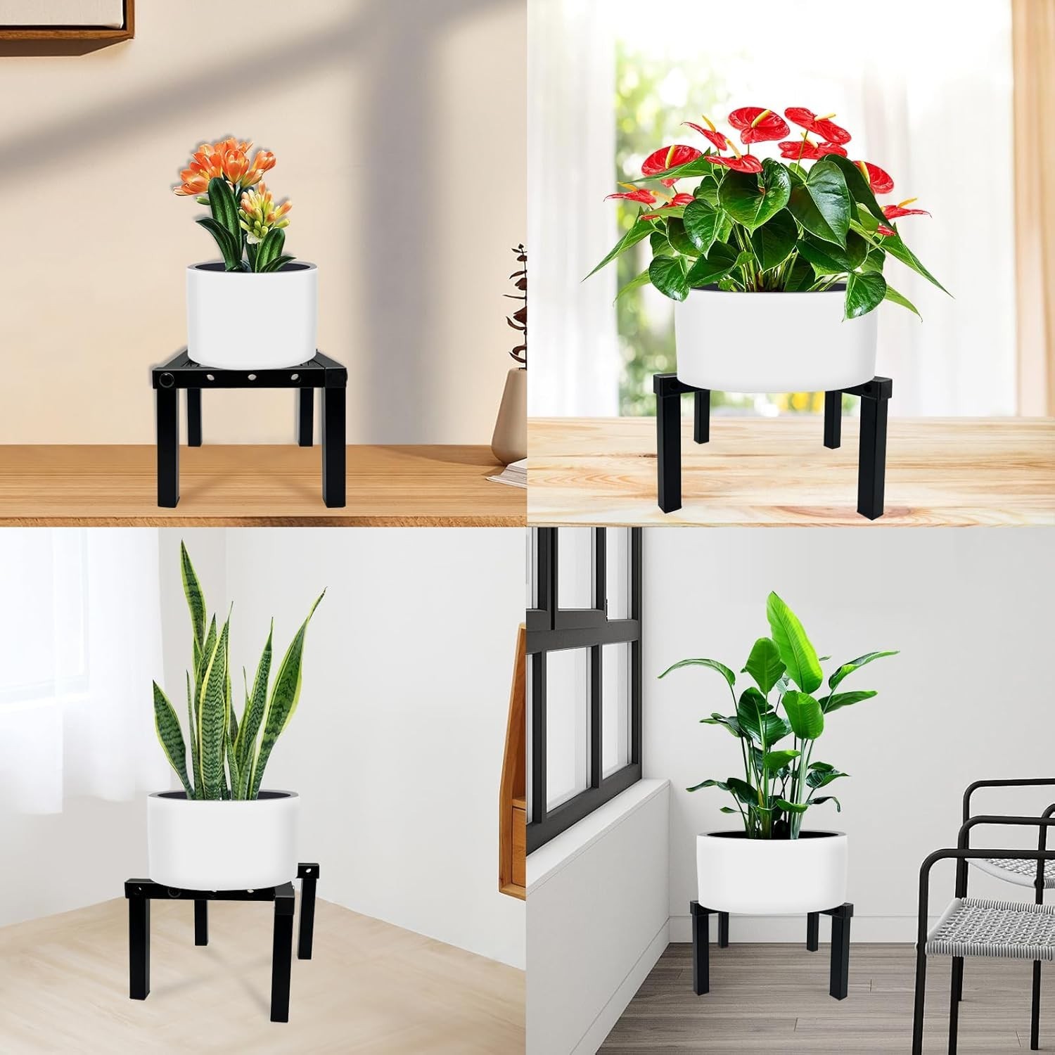 Compact Adjustable Metal Plant Stand with Rubber Feet – Perfect for Any Room
