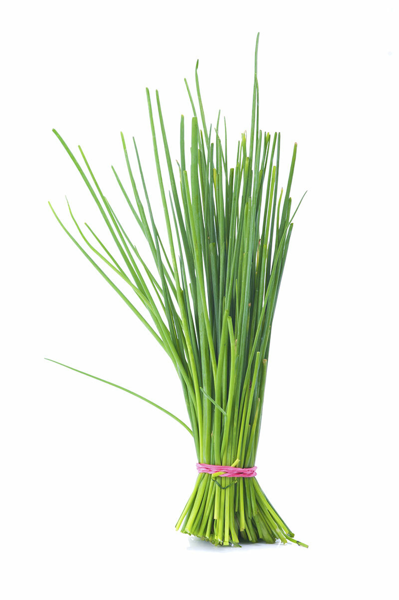 Chives Seeds 400+ Common Onion Herb Vegetable Garden USA NON-GMO FREE SHIPPING