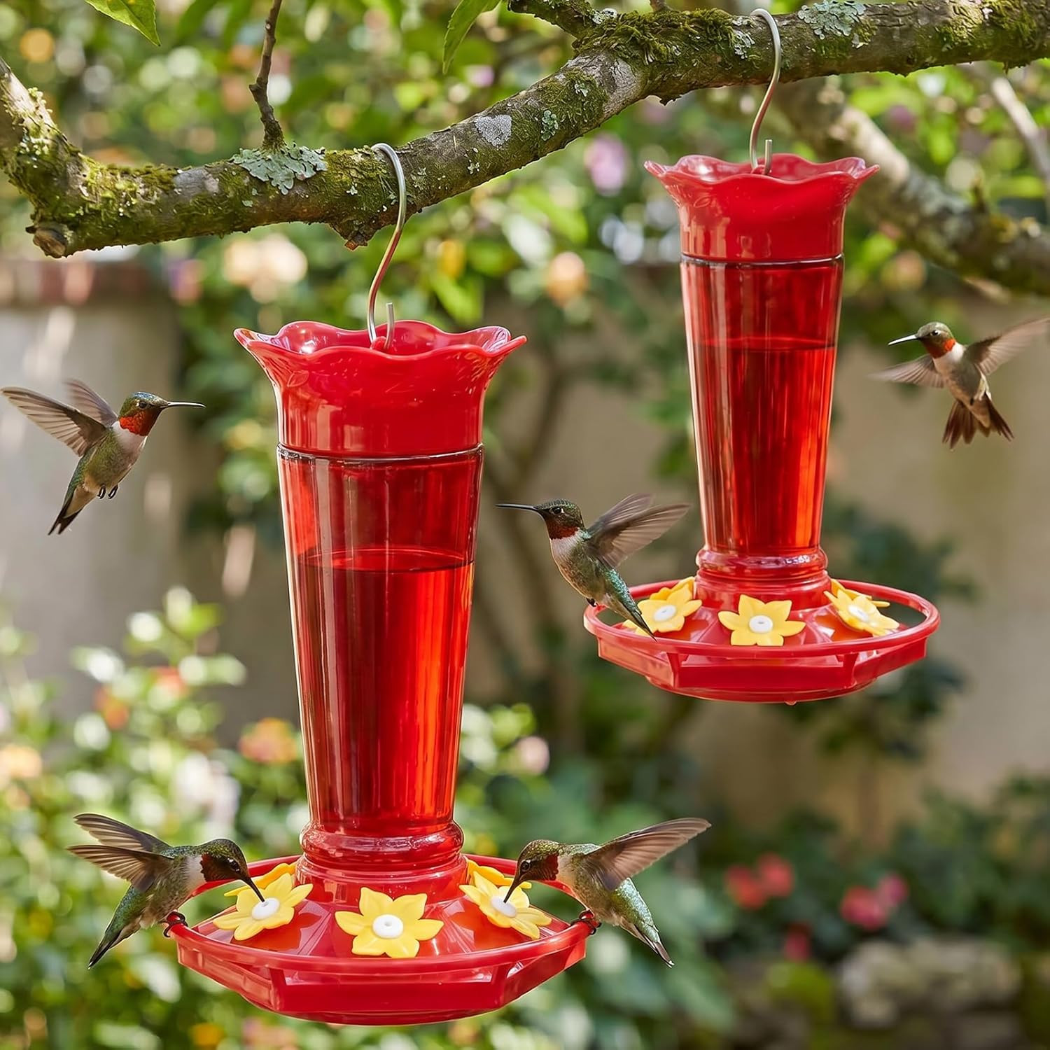 10 OZ Glass Hummingbird Feeders for Outdoors Hanging – Red 2 Pack, Ant & Bee Pro