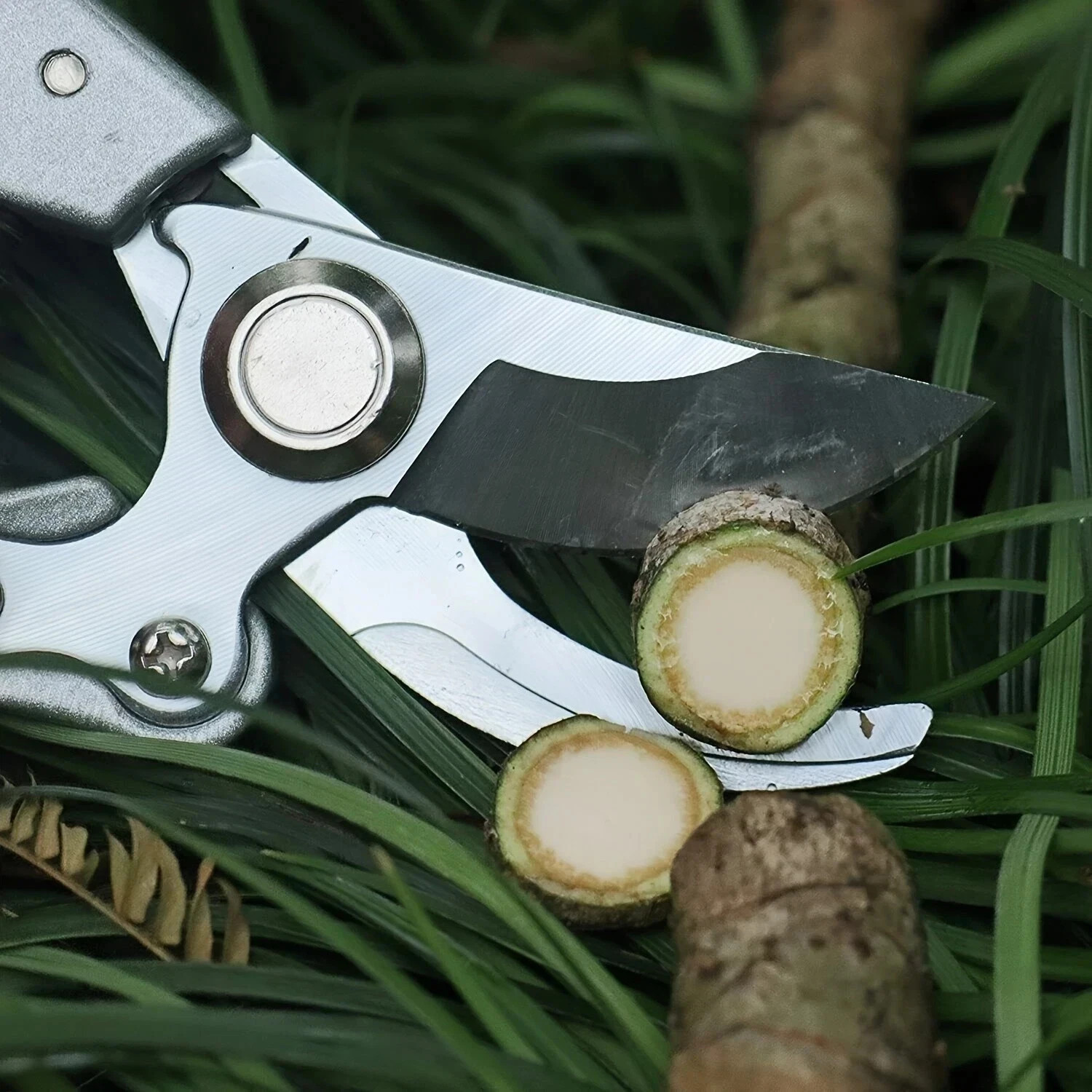 Pruning Shears Ultra-Sharp Stainless Steel,Garden Pruning Shears for Gardening