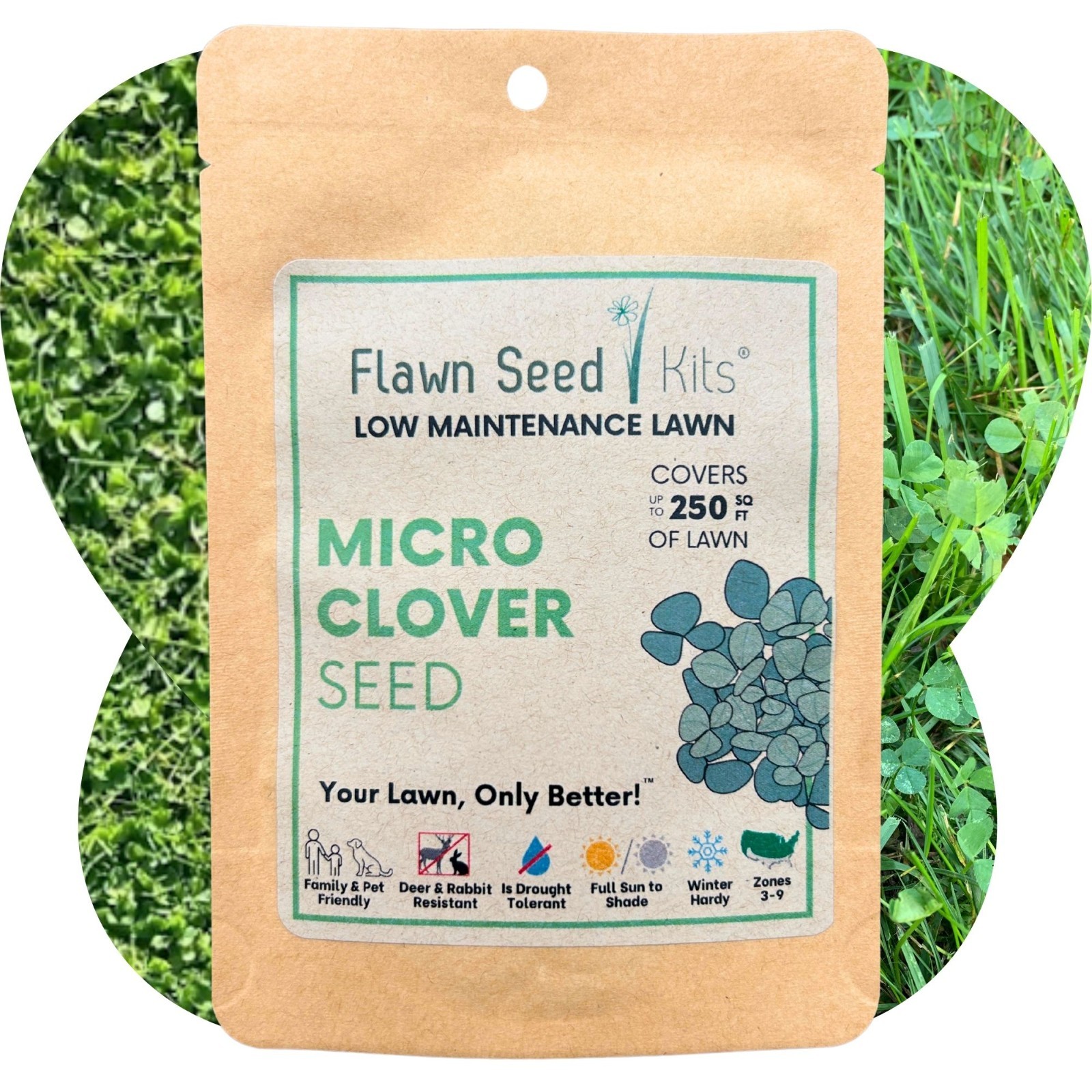 Micro Clover Seed, Organic Coated, Eco-Friendly, Low Growing, Low Maintenance