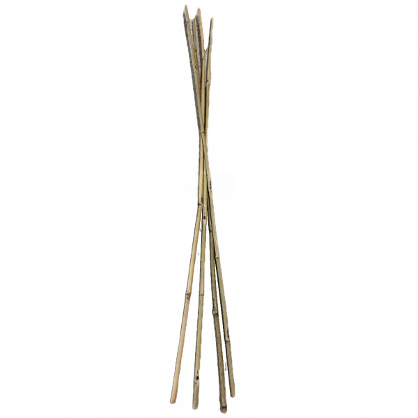 Farm Plastic Supply – Bamboo Garden Stakes – 4 & 7ft Long