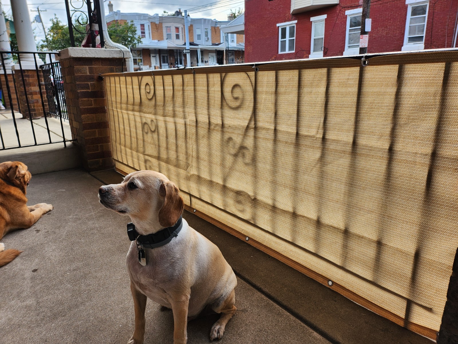 3′ 4′ 5′ 6′ 8′ tall Outdoor Fence Windscreen Privacy Screen Shade Cover Garden