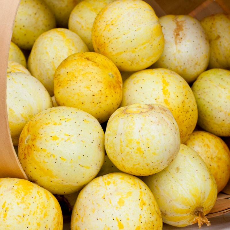 Lemon Cucumber Seeds | 50 Seeds | Non-GMO | Free Shipping | Seed Store | 1059