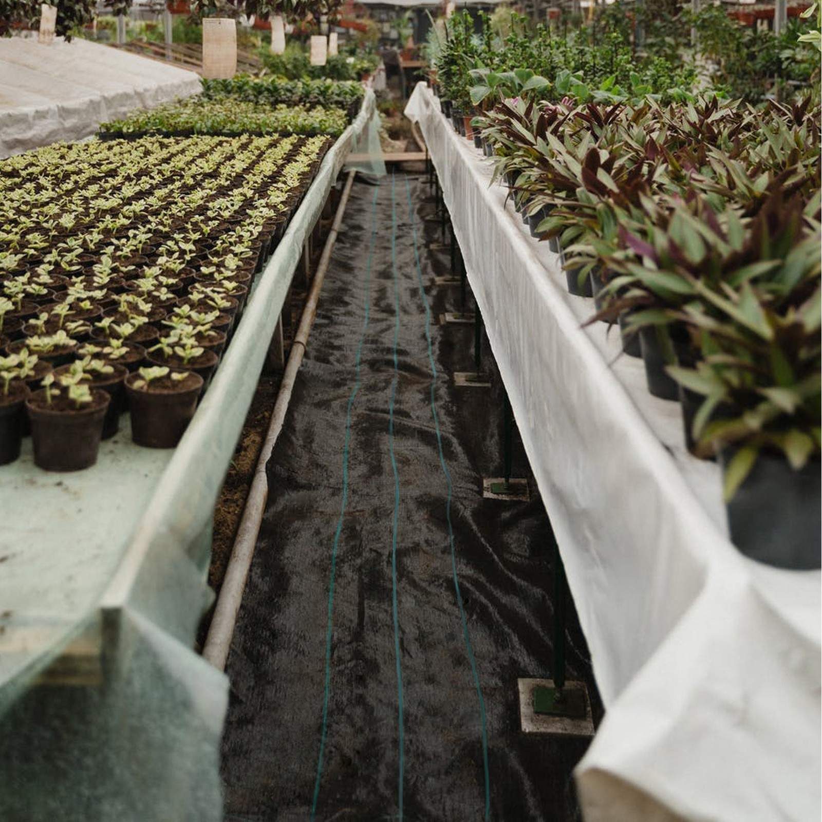VEVOR 5’x 250′ Weed Barrier Landscape Fabric Ground Cover 5oz PP Dual Layer