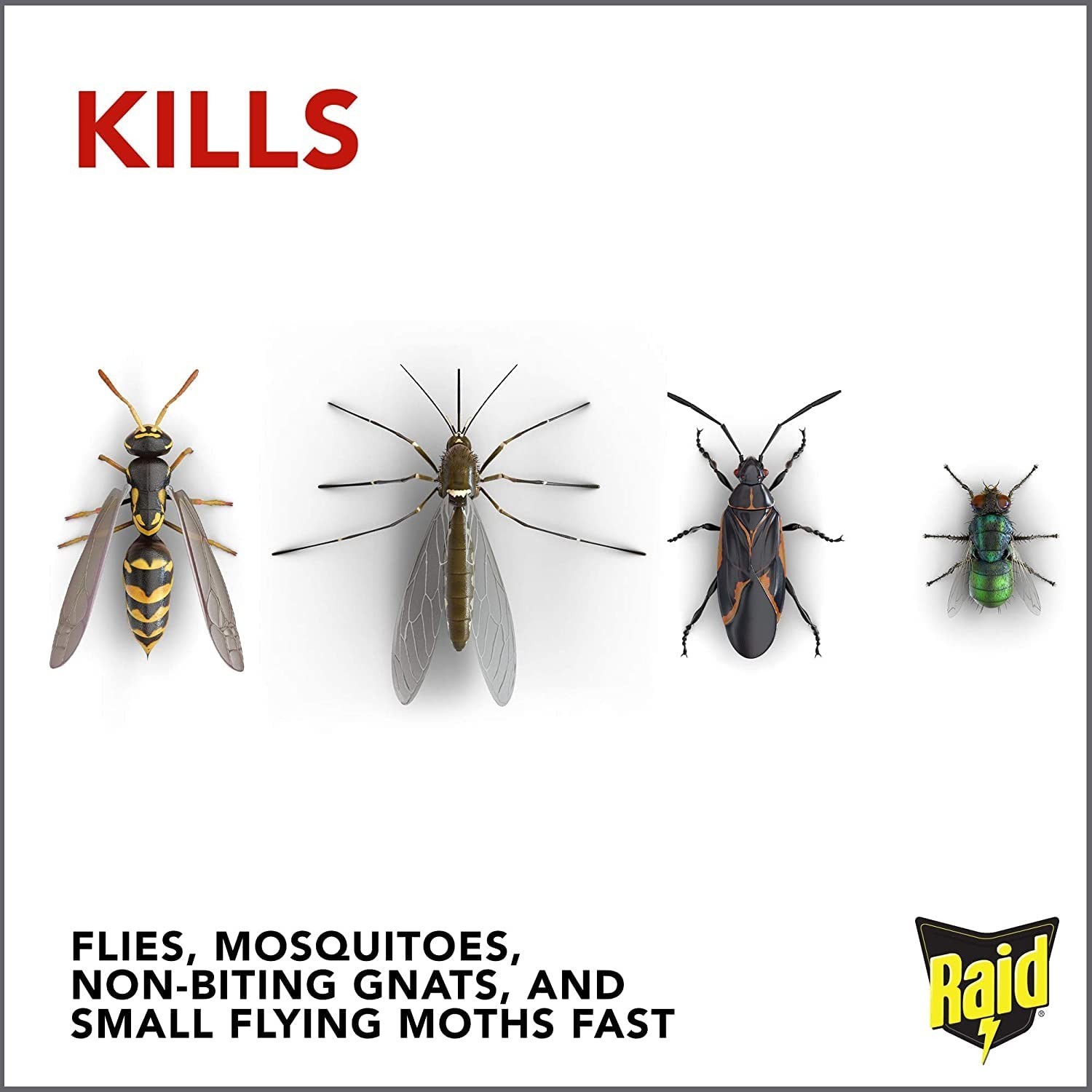 Raid Flying Insect Killer Formula Outdoor Fresh Scent, Aerosol 15 oz