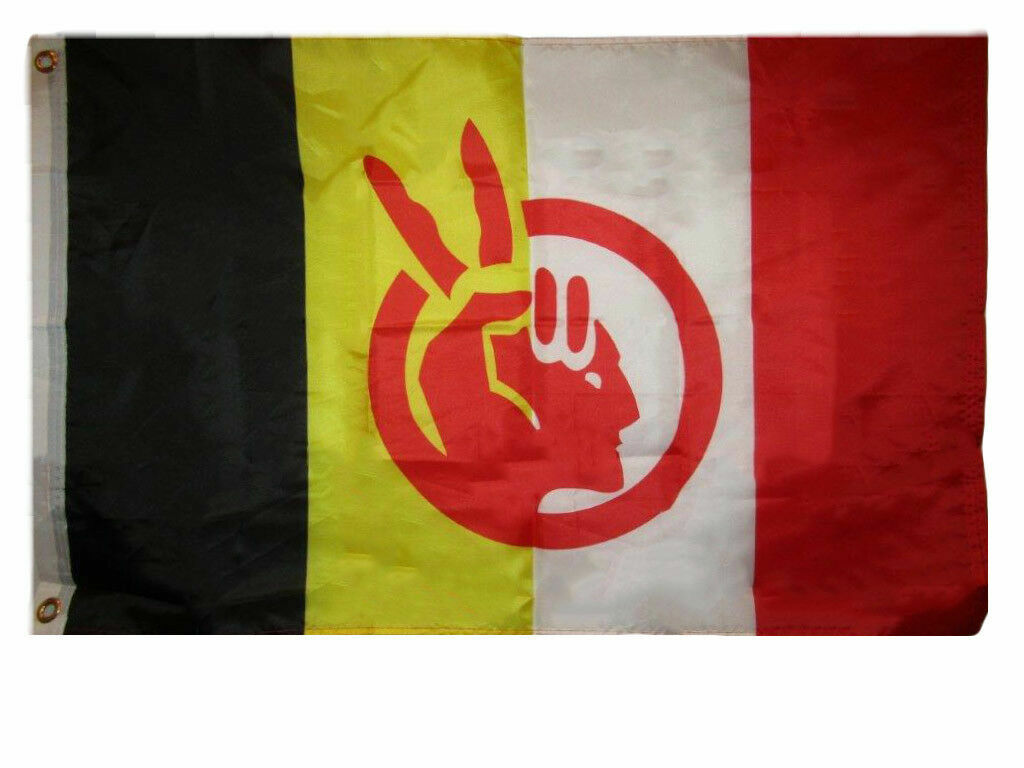 2×3 Ft American Indian Movement Flag Native American Rights Protest Banner AIM