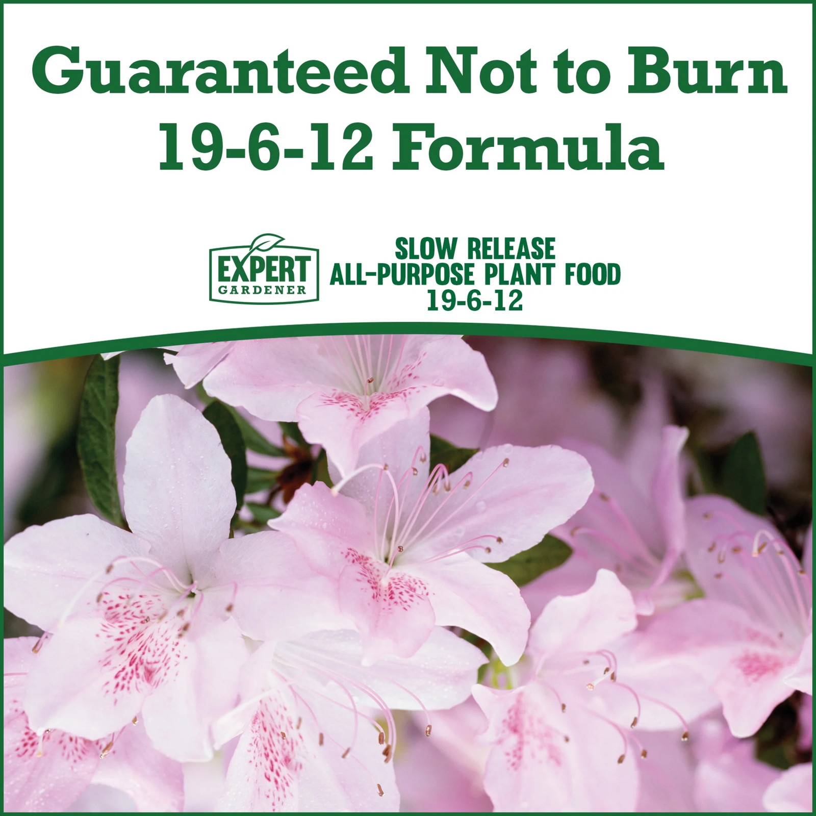 Indoor & Outdoor Plant Food 19-6-12 Fertilizer, Feeds up to 6 Months; 2 Lb.