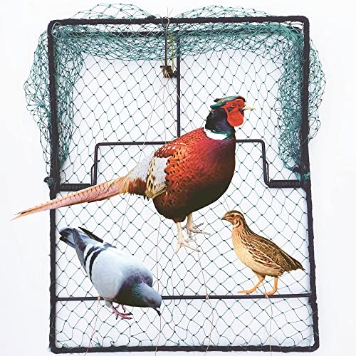 Pigeon Bird Trap Quail Sparrow Spring Starling 19.5″*15.5″*0.35″ 500.0 Grams