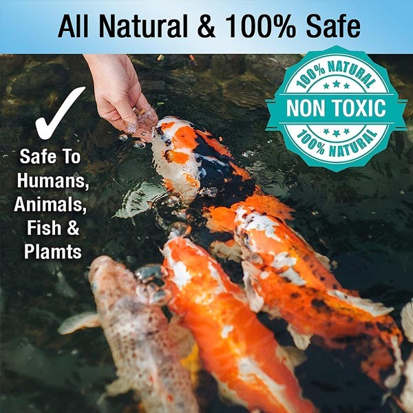 Microbe Lift PL 1 Gallon Koi Pond Beneficial Bacteria Clarifier 10PLG4
