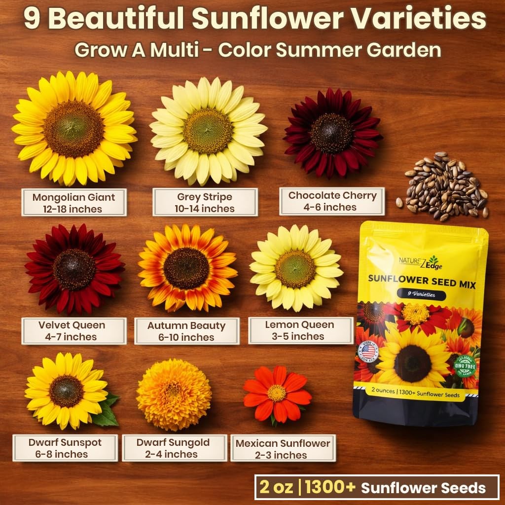 NatureZ Edge 1300+ Sunflower Seeds Garden Variety 2 oz- 1300 Seeds, Yellow