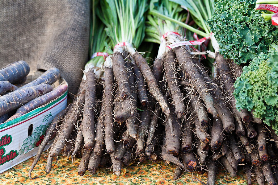 Black Salsify, Scorzonera, NON-GMO, Black Oyster Plant, Goat’s Beard, FREE SHIP