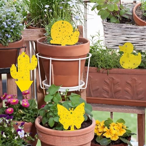 Gideal 36-Pack Dual-Sided Sticky Traps for Flying Insects – Fungus Gnats