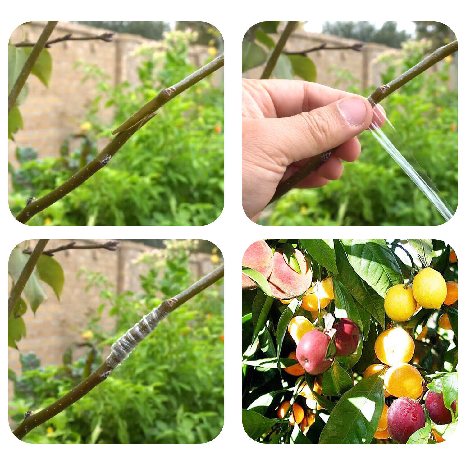 110M Grafting Garden Tree Seedling Self-adhesive Stretchable Pruning Tape 2pcs