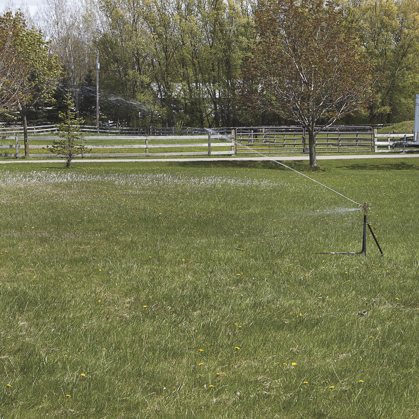Strongway Sprinkler 3/4in. Head with 2 Nozzles, up to 10 GPM, 100ft. Dia., 7800