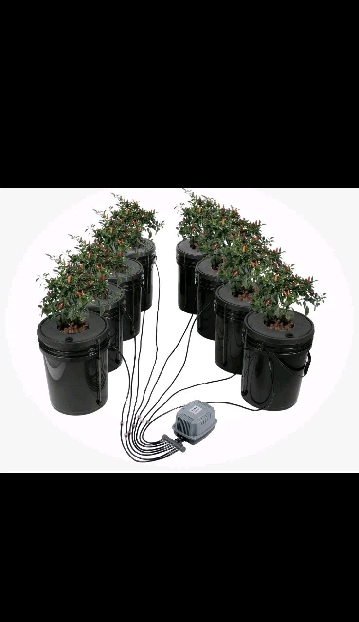 VEVOR Hydroponics Deep Water Culture DWC Hydroponic System 5 Gallon 8 Buckets