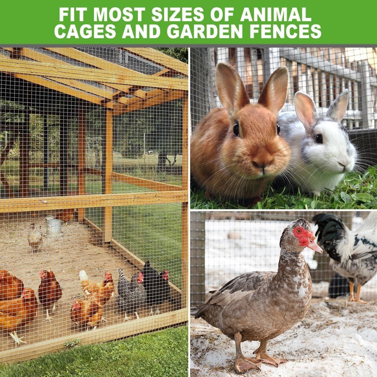 Versatile 19 Gauge Galvanized Hardware Cloth – Ideal for Garden & Poultry Safety
