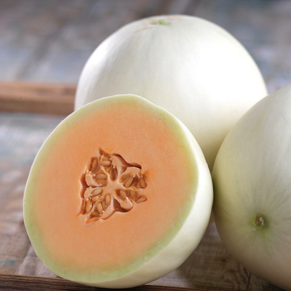 Orange Honeydew Melon Seeds | Heirloom / Non-GMO | Free Shipping | 1053