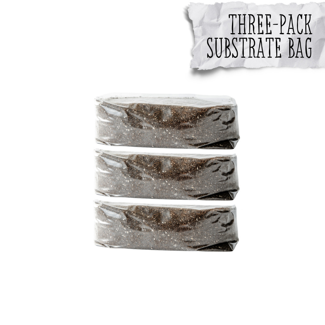 3 Pack | 5lb Mystic Blend CVG Amended Bulk Substrate | 15lbs total!